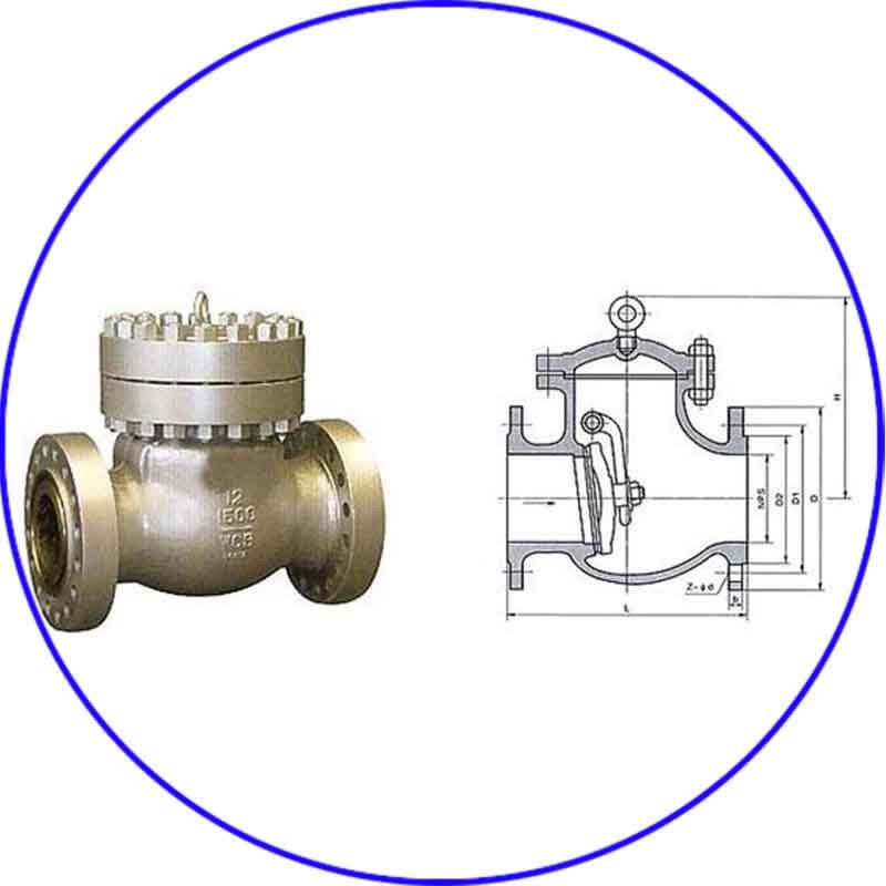 Industrial Swing Check Valve - Check Valves