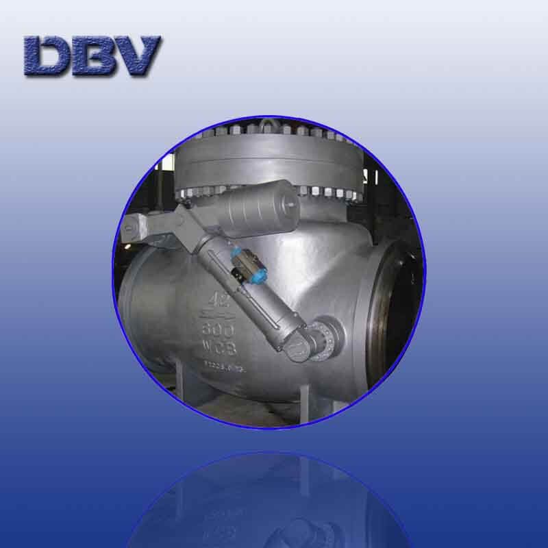 DBV Check Valve
