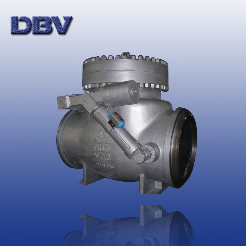 Dbv Check Valve