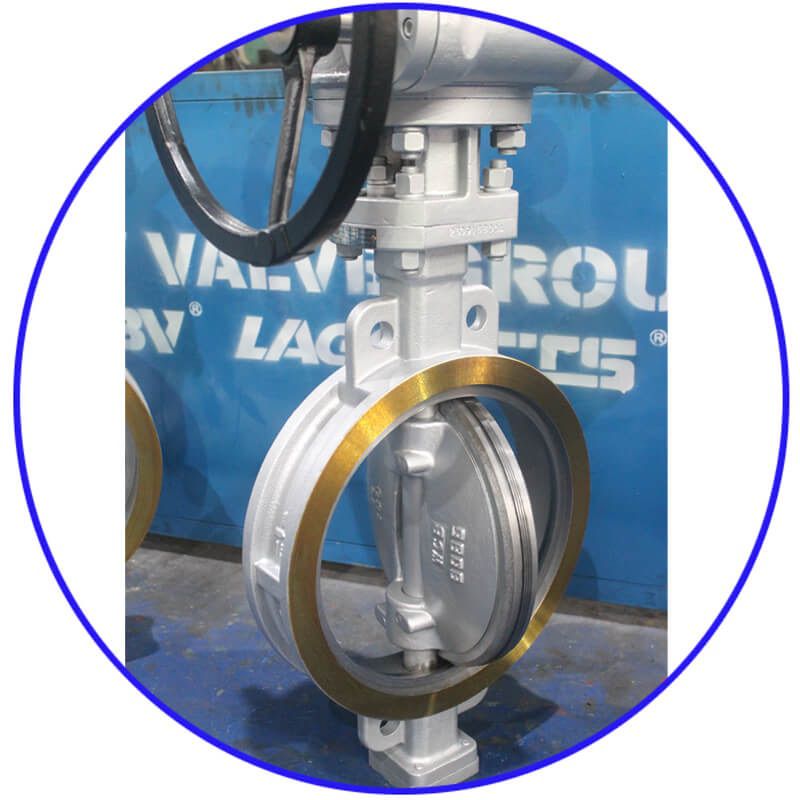 wafter butterfly valve