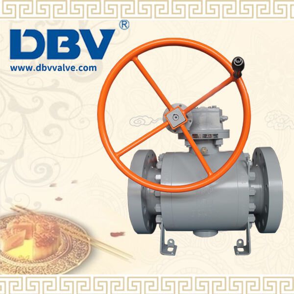 DBV VALVE