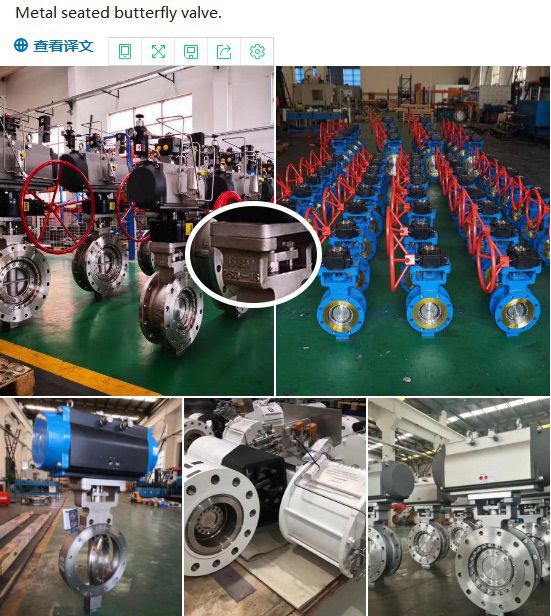 Metal seated butterfly valve