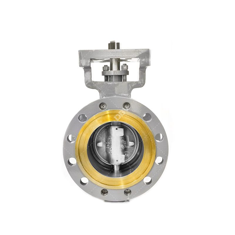 Replaceable metal to metal seat butterfly valve