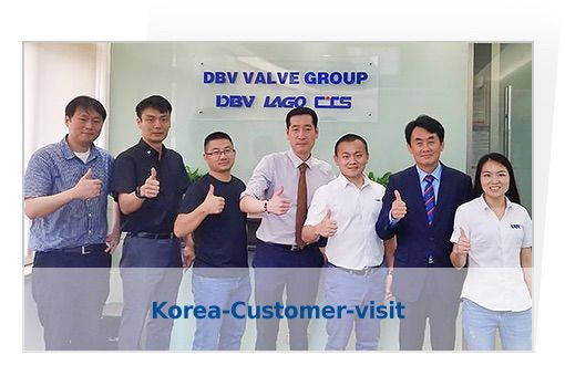 Korea-Customer-visit