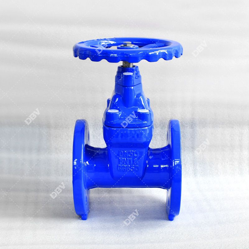 Resilient seated gate valve manufacturer