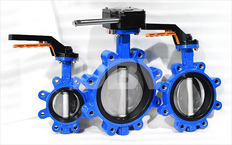 Concentric Butterfly Valve Structural Feature