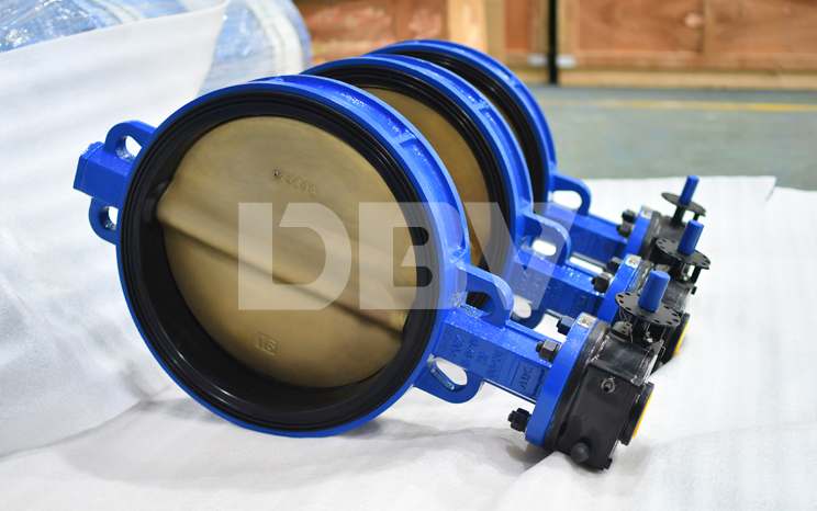 DBV DN400 5K Concentric Butterfly Valve