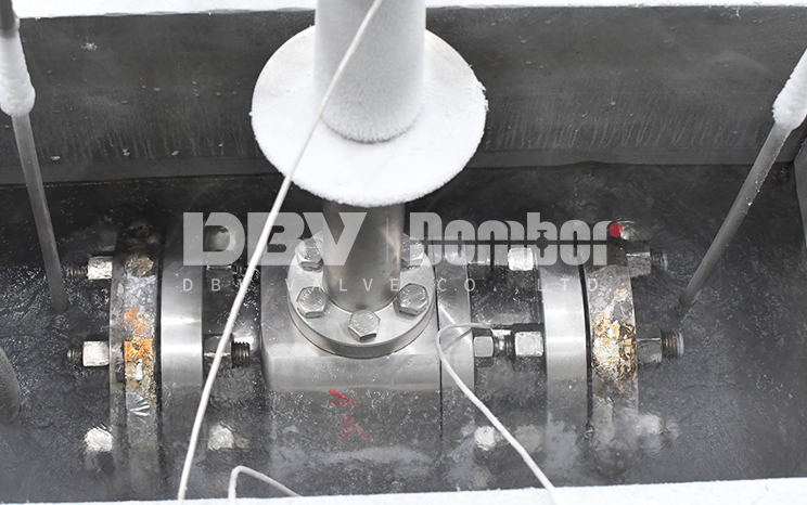 Can Your Valve Survive Liquid Nitrogen? – DBVValve’s Extreme Cold Testing