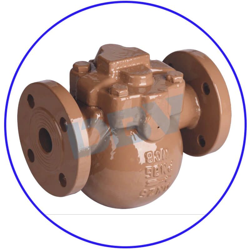 Steam Traps