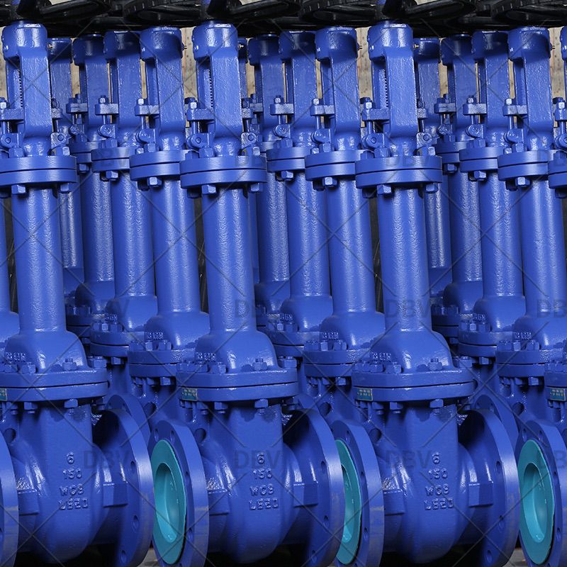 DIN Bellows Seal Gate Valve