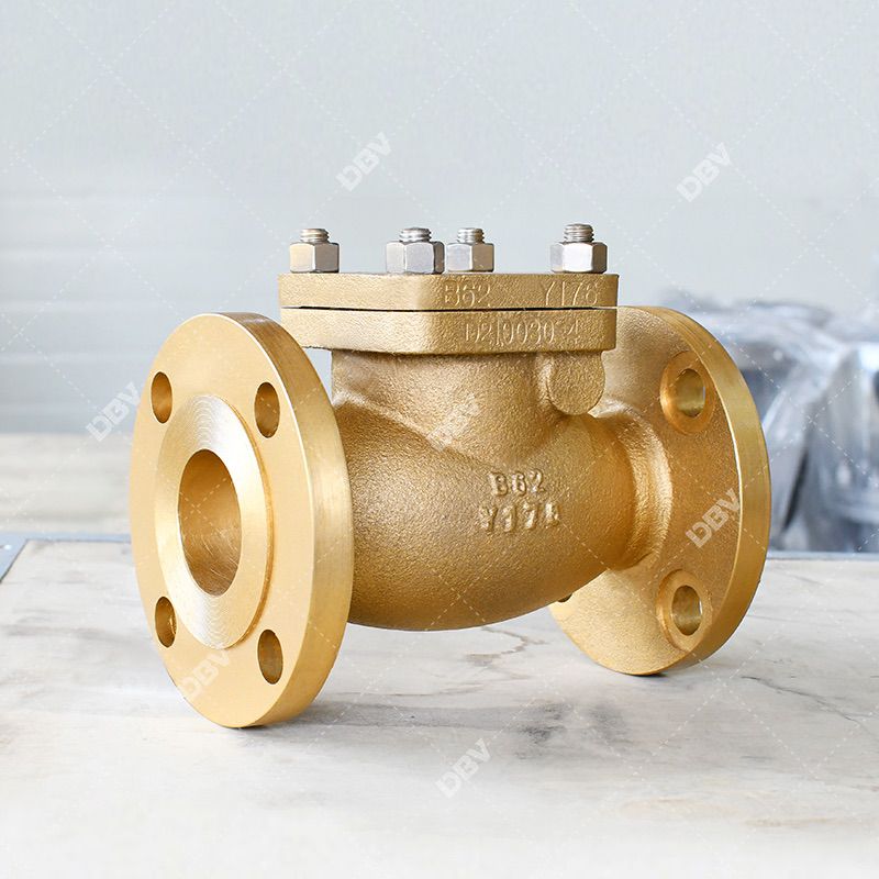 MSS SP 80 bronze swing check valve